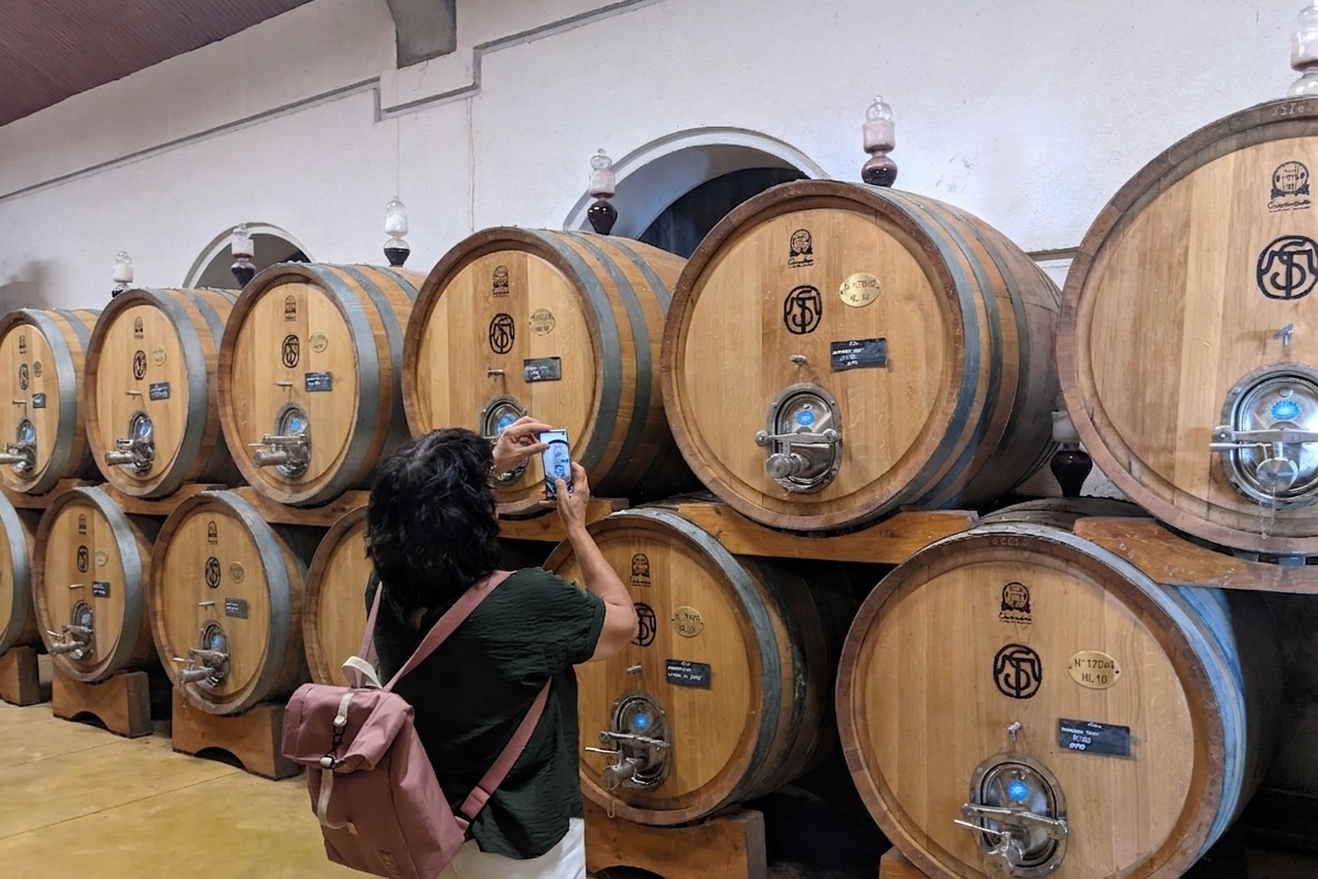 From Lake Garda: Full-Day Valpolicella Wine and Lunch Guided Trip