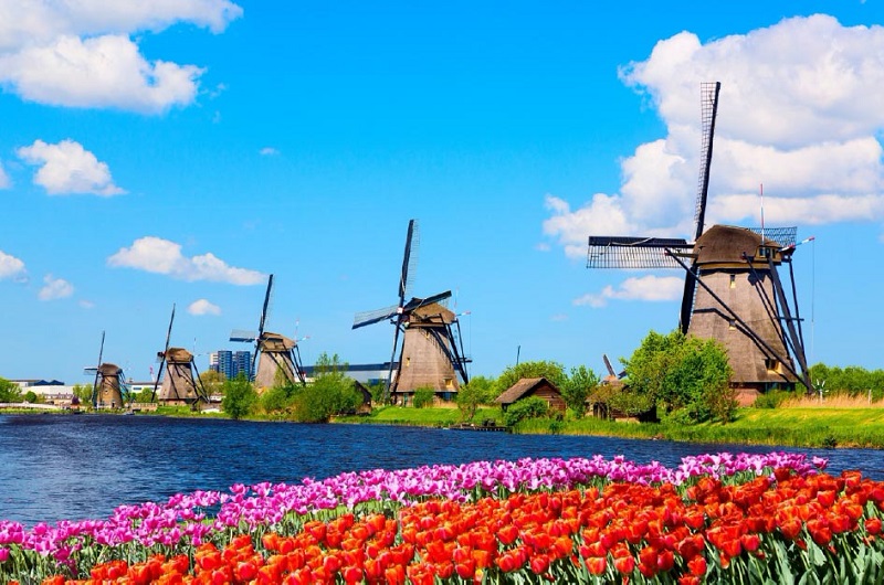 Kinderdijk, Delft & The Hague Day Tour
