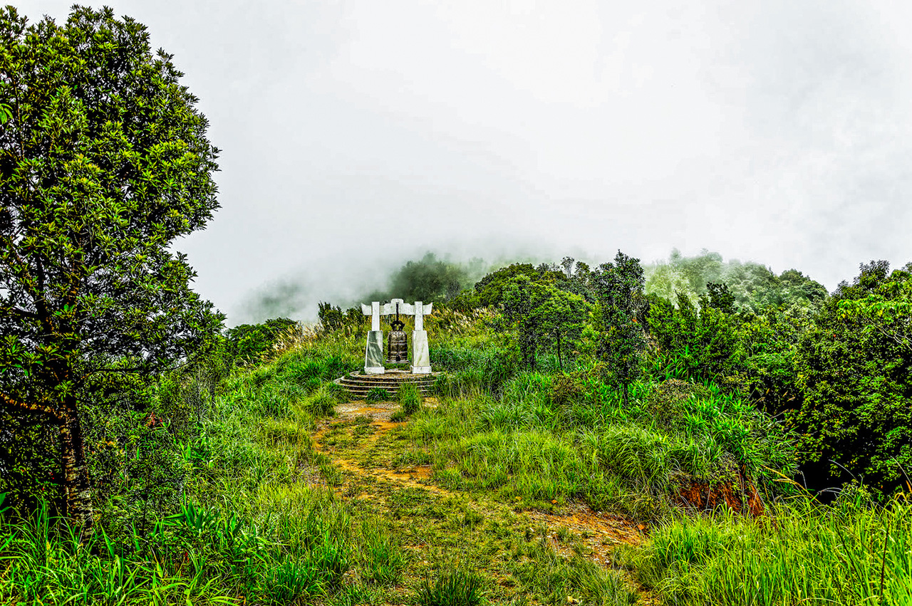 Da Nang: BACH MA NATIONAL PARK TREK AND LANG CO BEACH TOUR
