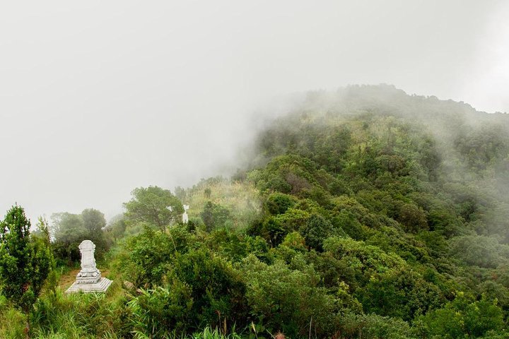 Hoi An: BACH MA NATIONAL PARK TREK AND LANG CO BEACH TOUR