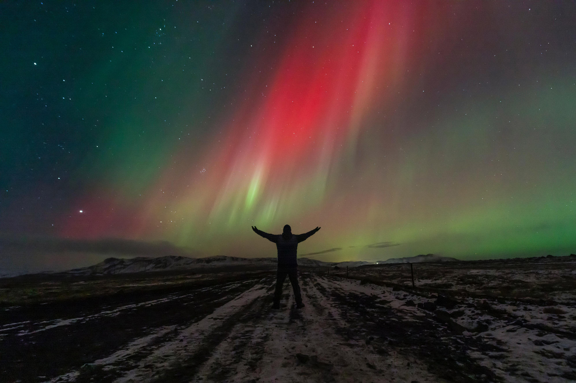 Northern Lights in Mini Bus with Local Pastries, Hot Chocolate, and Photos