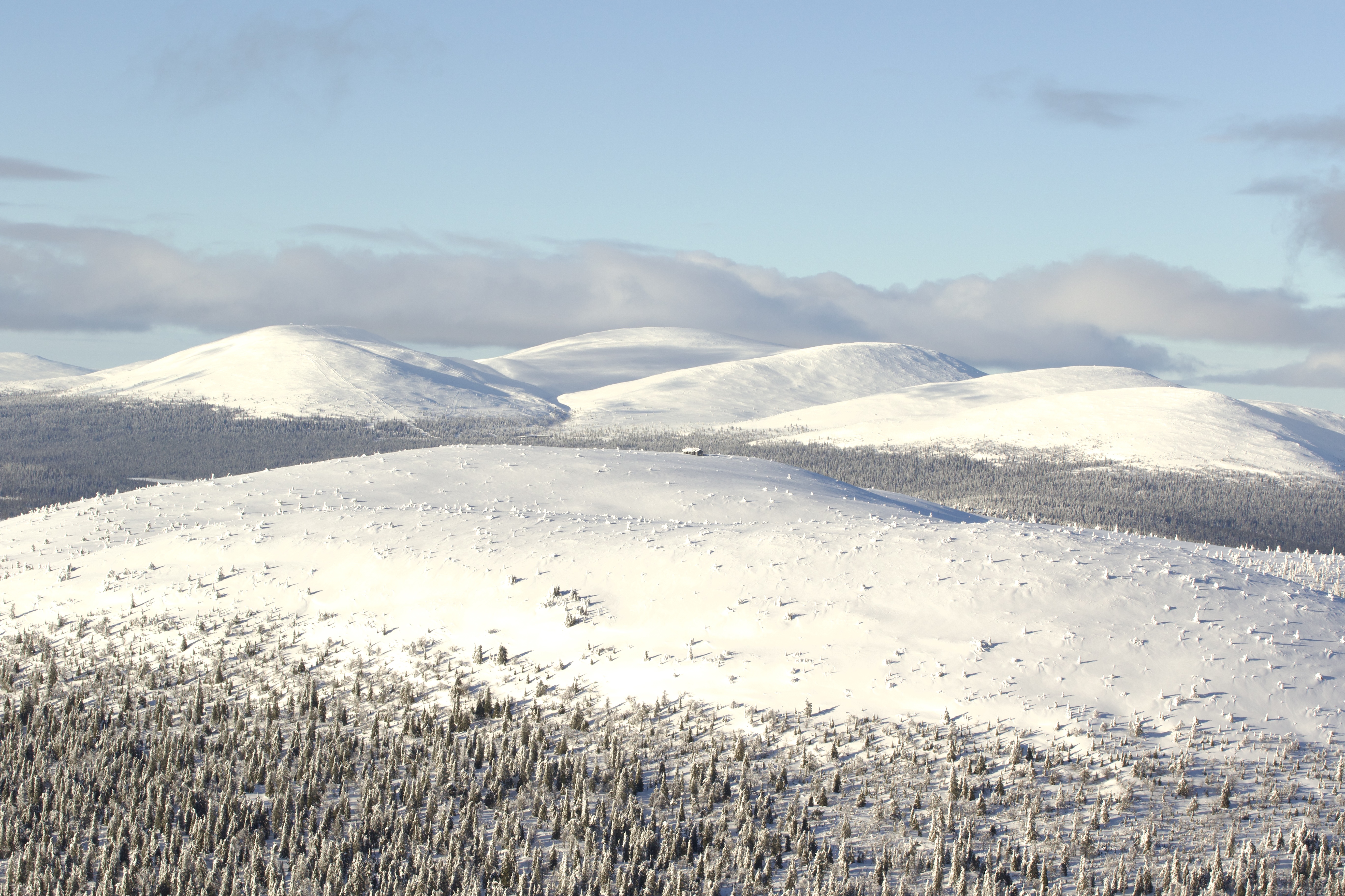 Private Ski Adventure in Pallas National Park Private Ski Adventure in Pallas National Park