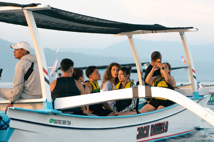 North Bali Expedition: See Dolphins, Hot Springs & Wanagiri Hills