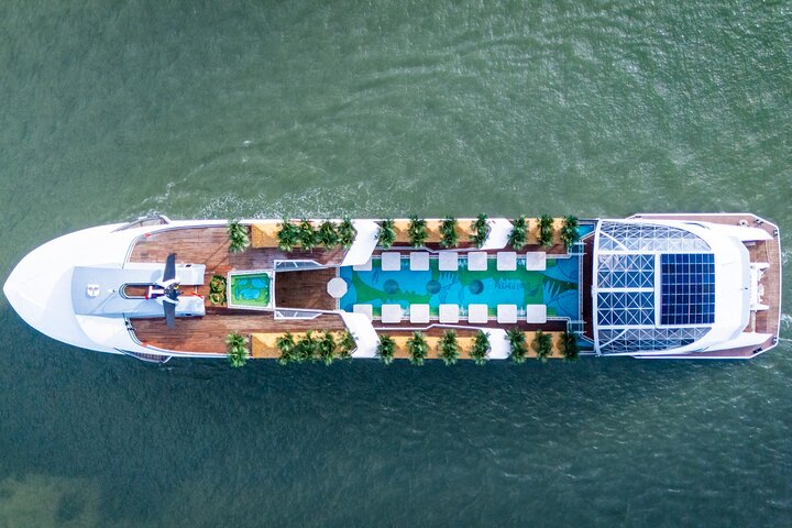 Sail Halong Bay in Luxury Dolphin Day Cruise with Panoramic Views