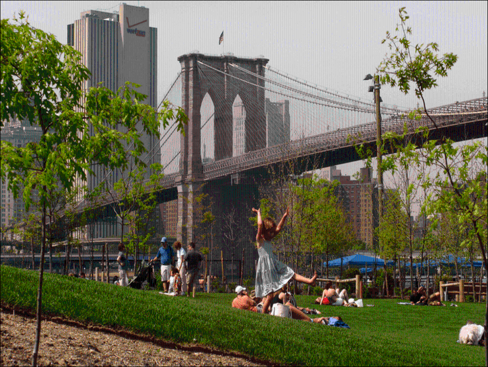 Brooklyn Heights/DUMBO/Manhattan Skyline – Private Walking Tour