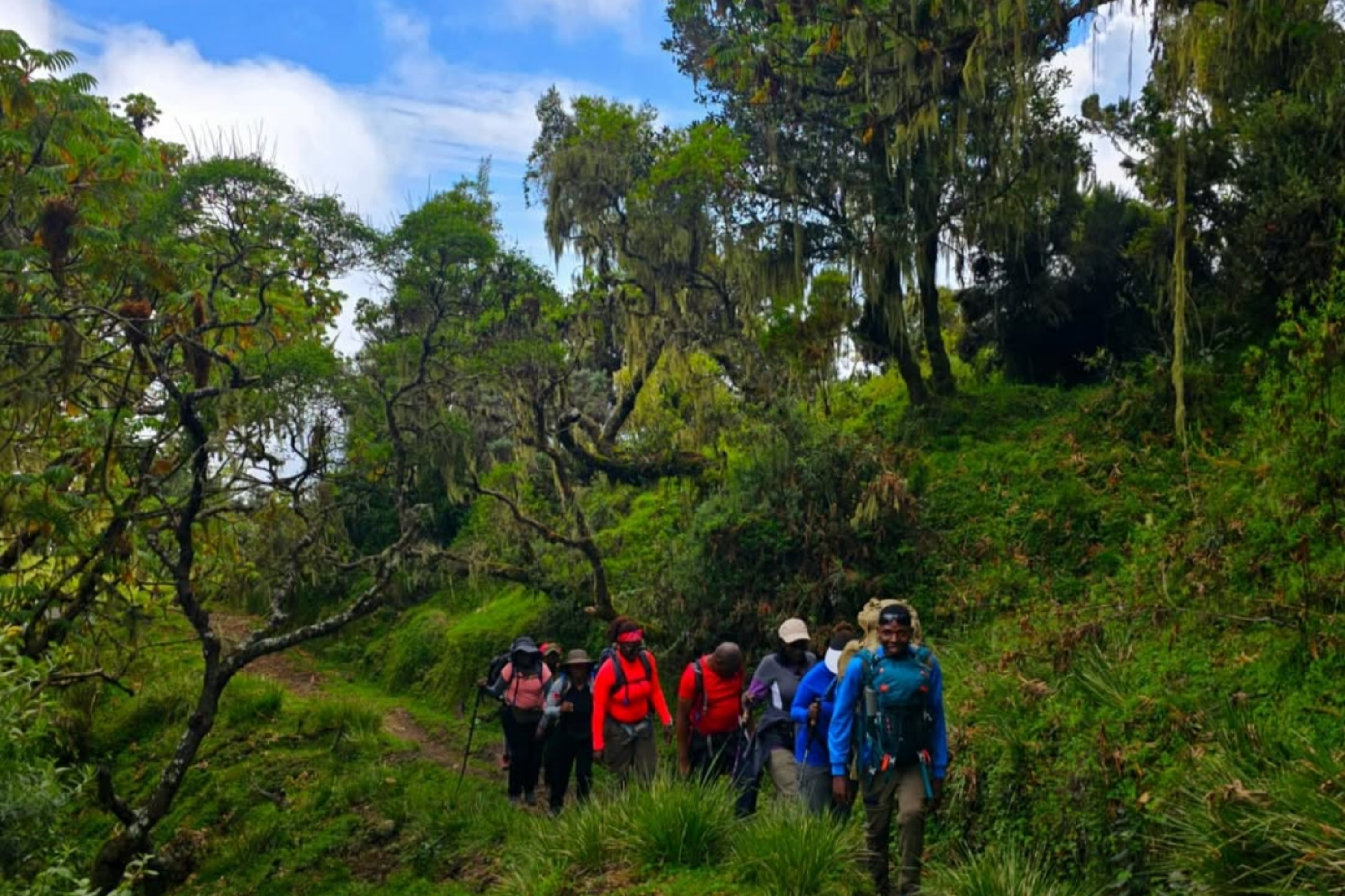 7-Day Mount Kilimanjaro Climb: Classic Machame Route Adventure Hike