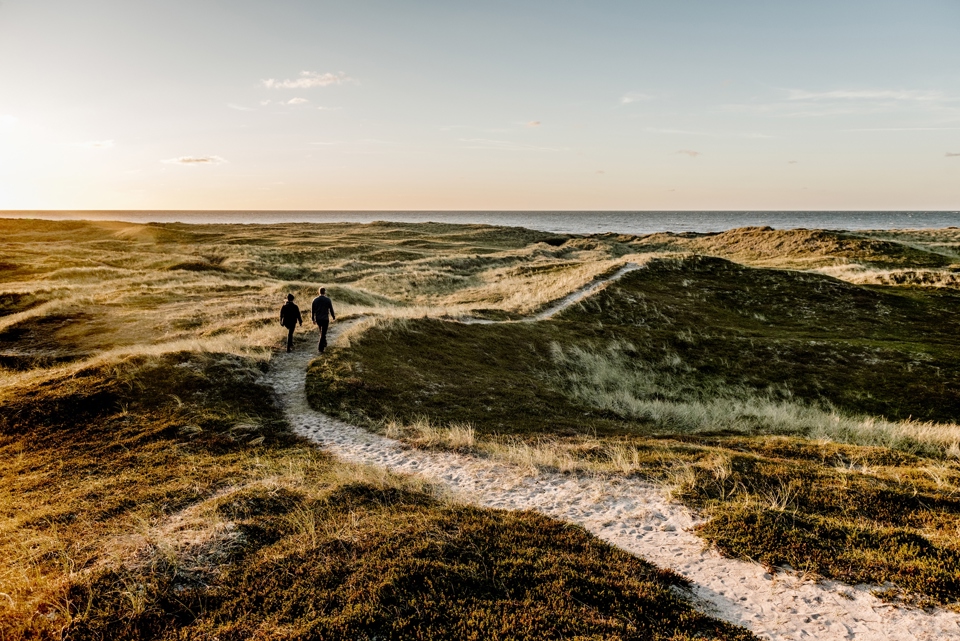 Denmark’s 6 Giant Trolls — Private Experience