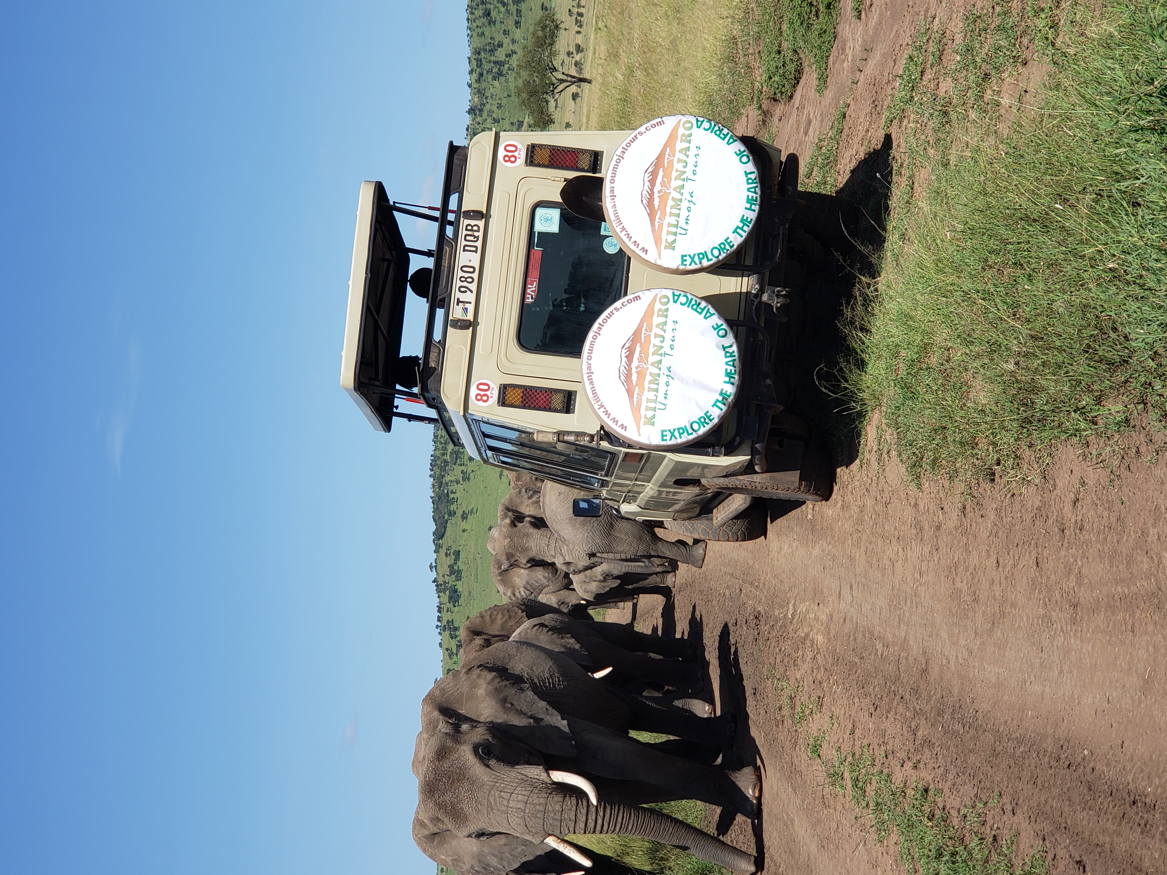5-Day Tanzania Small Group Safari: Tarangire, Serengeti & Ngorongoro