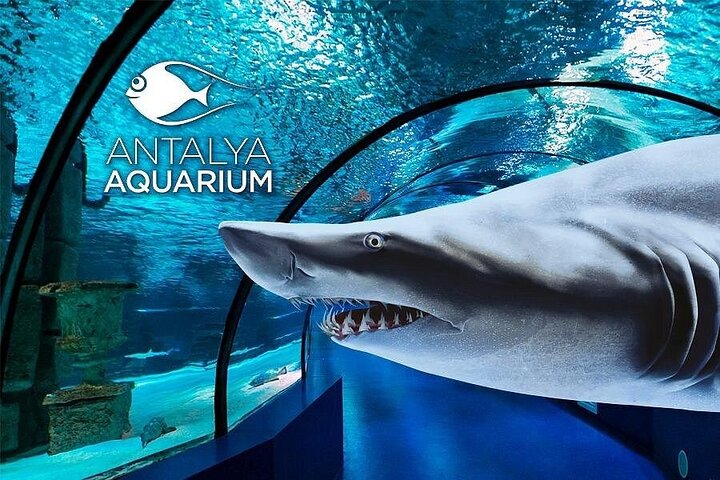 Private Antalya Aquarium & Fun Park Tour | All Inclusive