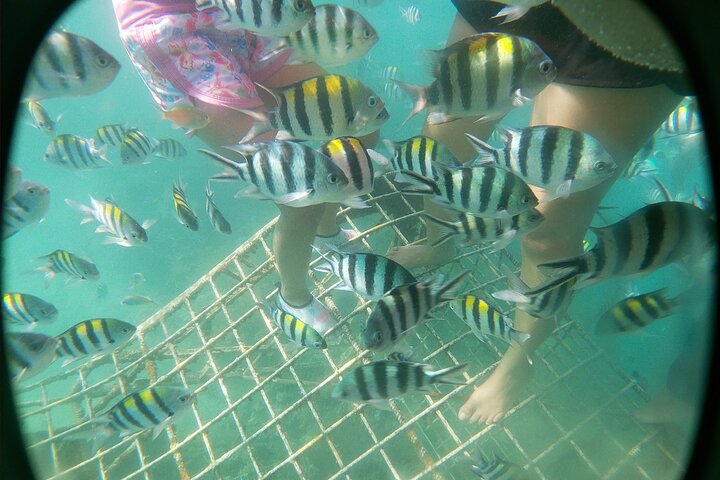 Explore Gili Kedis with Lombok Private Wooden Raft Tour