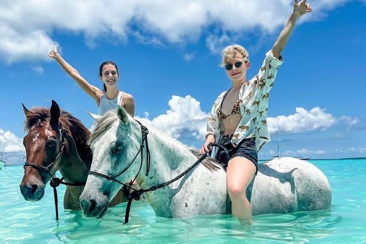 Swimming with Horses Experience on the Beach in Zanzibar Swimming with Horses Experience on the Beach in Zanzibar