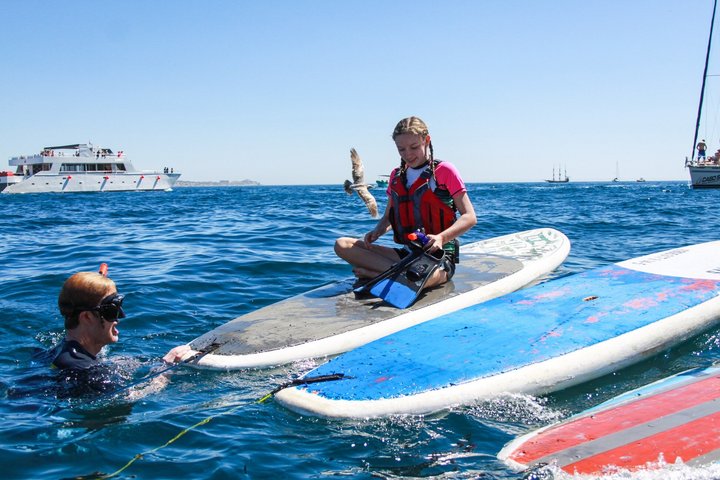 Private Cabo Paddle Board & Snorkel Adventure to the Arch
