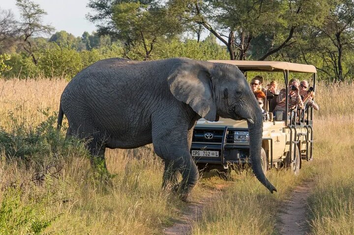 Sunset Safari Big 5 Aquila with Snacks and Wine Tasting