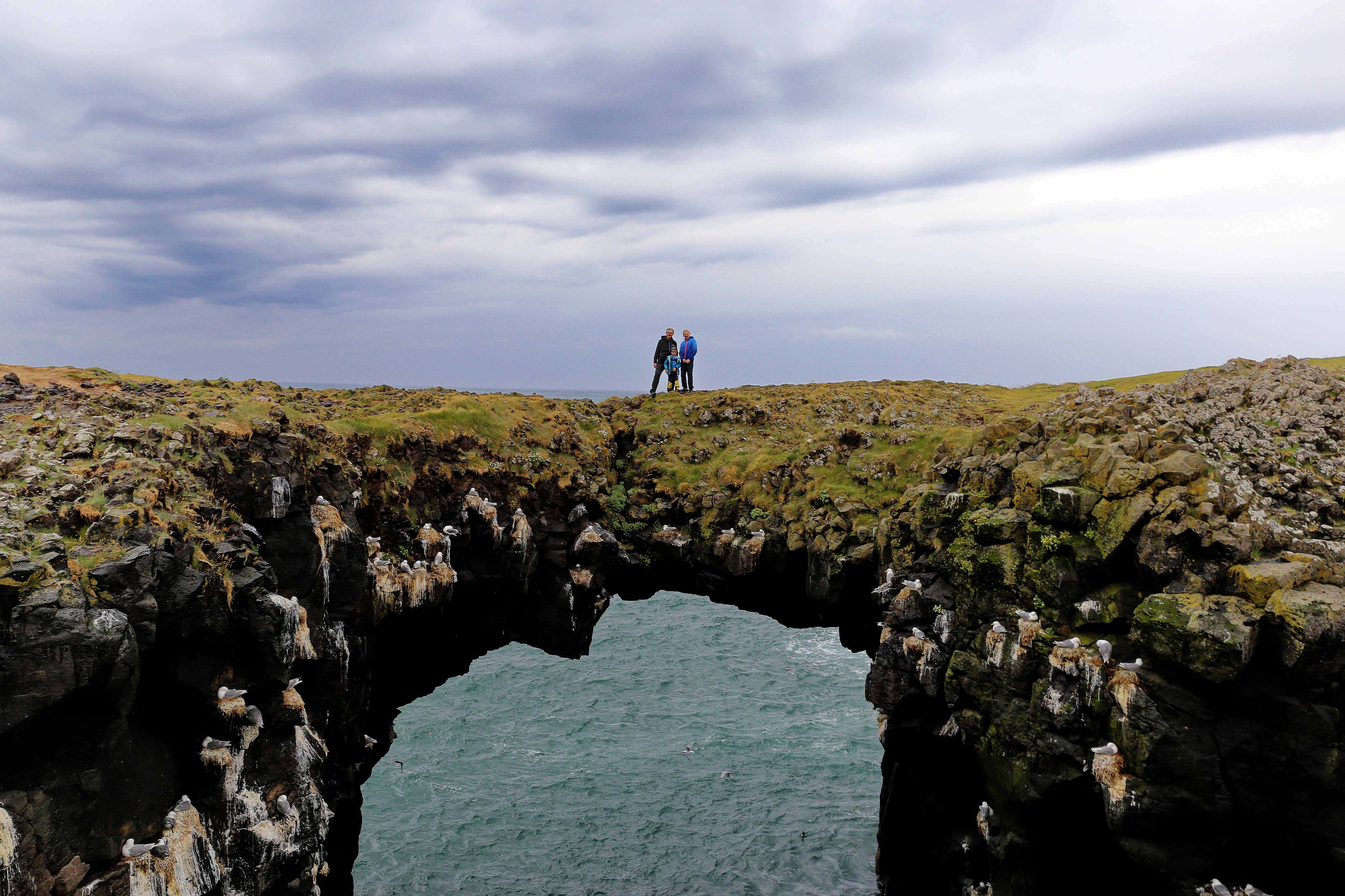 Snaefellsnes Private Tour At Iceland’s West Coast of Wonders