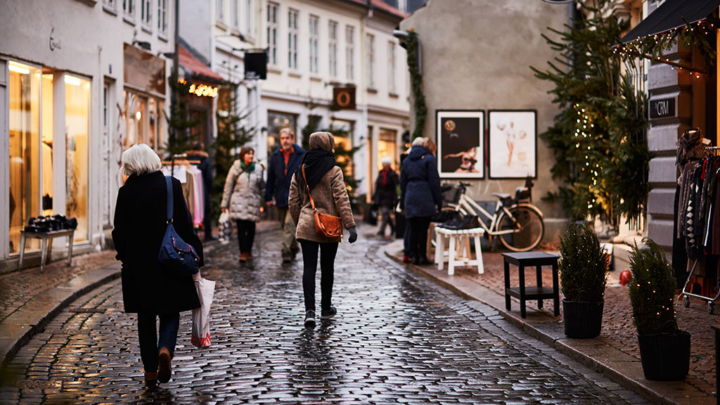 Copenhagen Secrets: Hidden City Tour with Local Guide