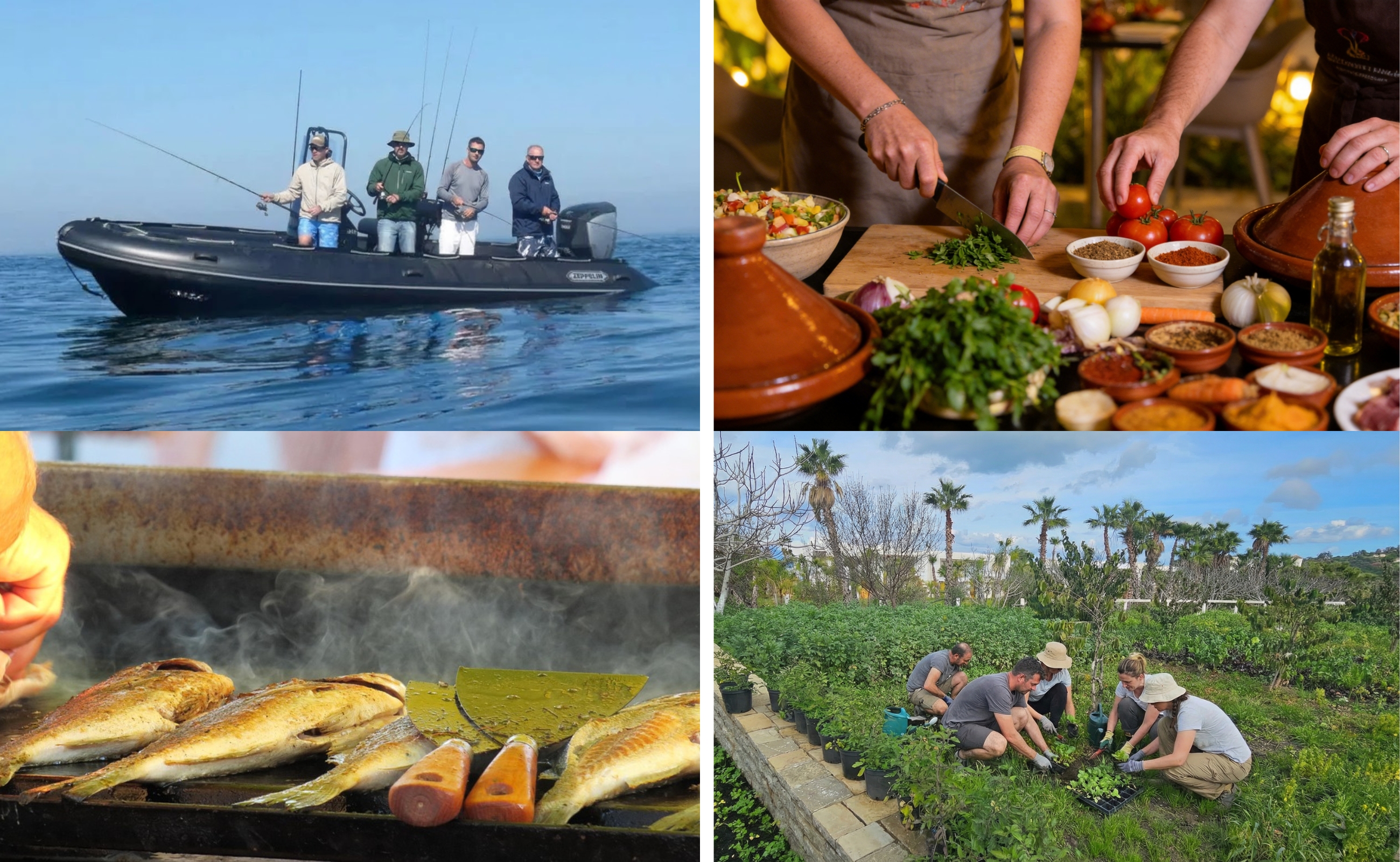 Fish Pick & Cook – Tangier Fishing & Cooking Experience Fish Pick & Cook – Tangier Fishing & Cooking Experience