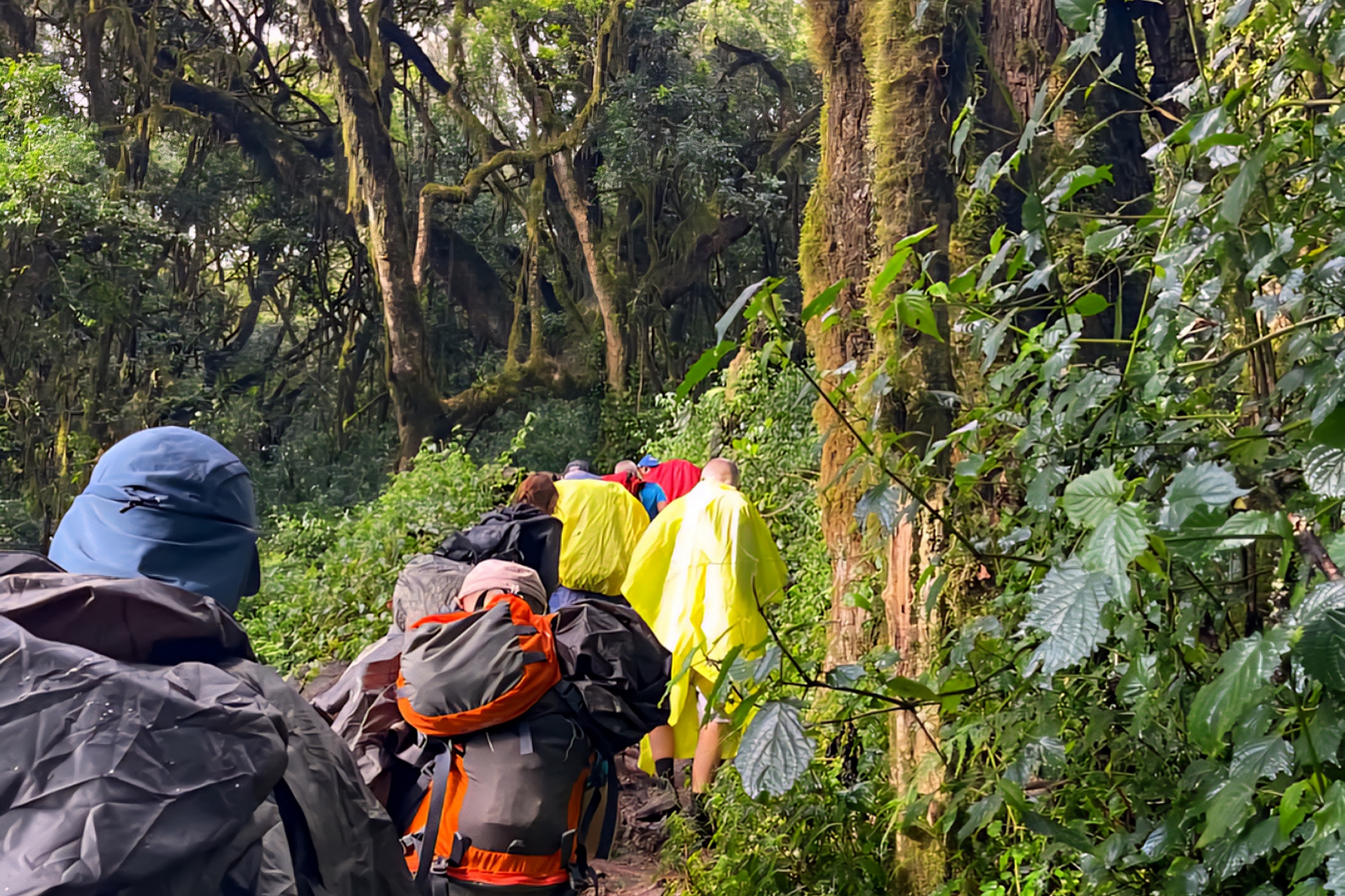 6-Day Mount Kilimanjaro Trek: Marangu Route Classic Hut Accommodation 6-Day Mount Kilimanjaro Trek: Marangu Route Classic Hut Accommodation