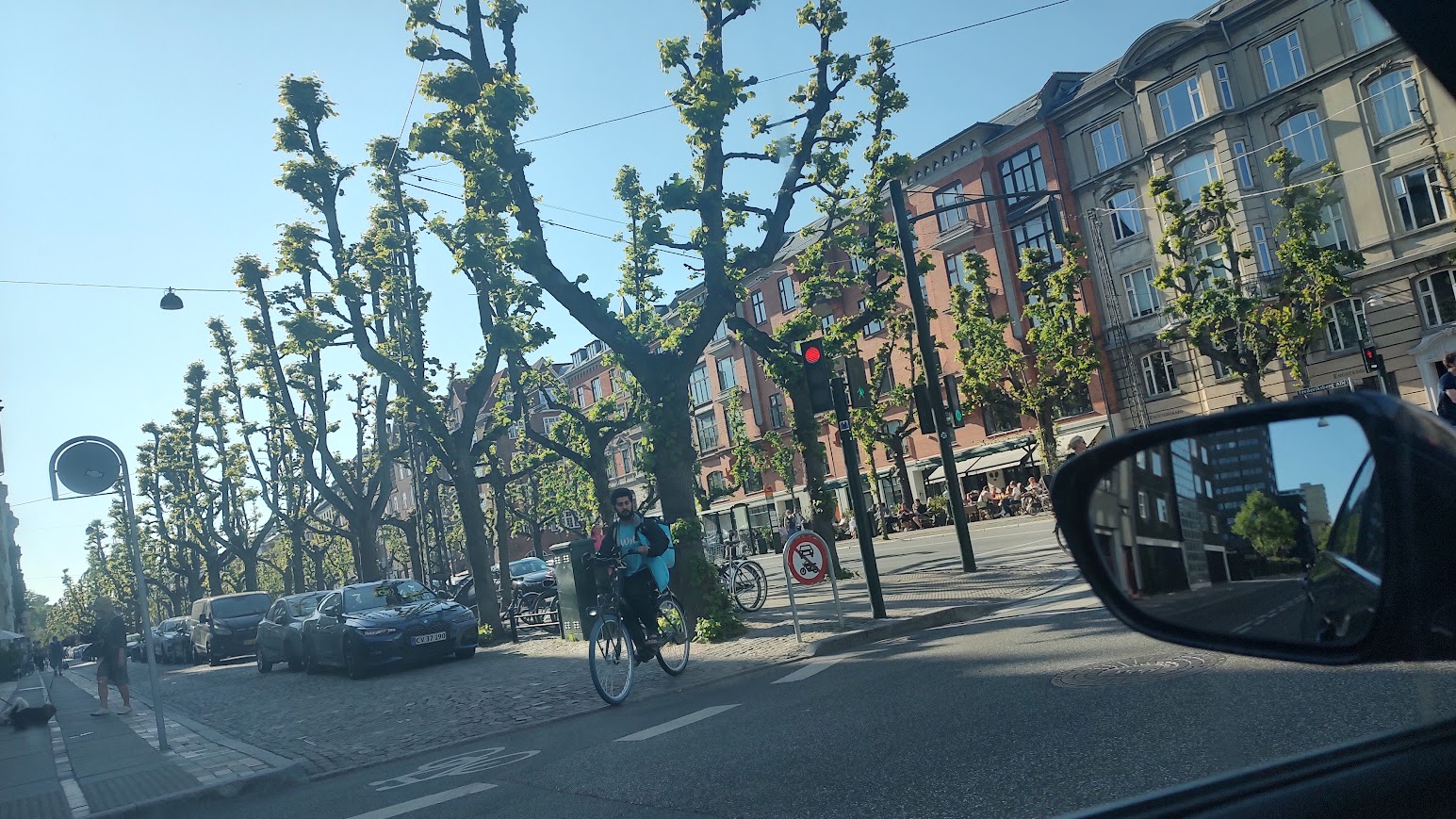 City, Nature & Cycling — Private Experience in Copenhagen