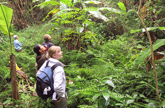 Cat Ba Trekking & Kayaking 3 days 2 nights