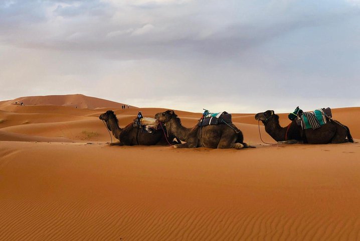 Fes to Merzouga Desert Trip – 2 Days, Camel Ride & Camp Fes to Merzouga Desert Trip – 2 Days, Camel Ride & Camp