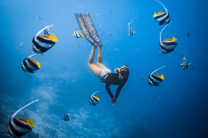 Private Los Cabos snorkeling tour to Chileno bay and Santa Maria cove