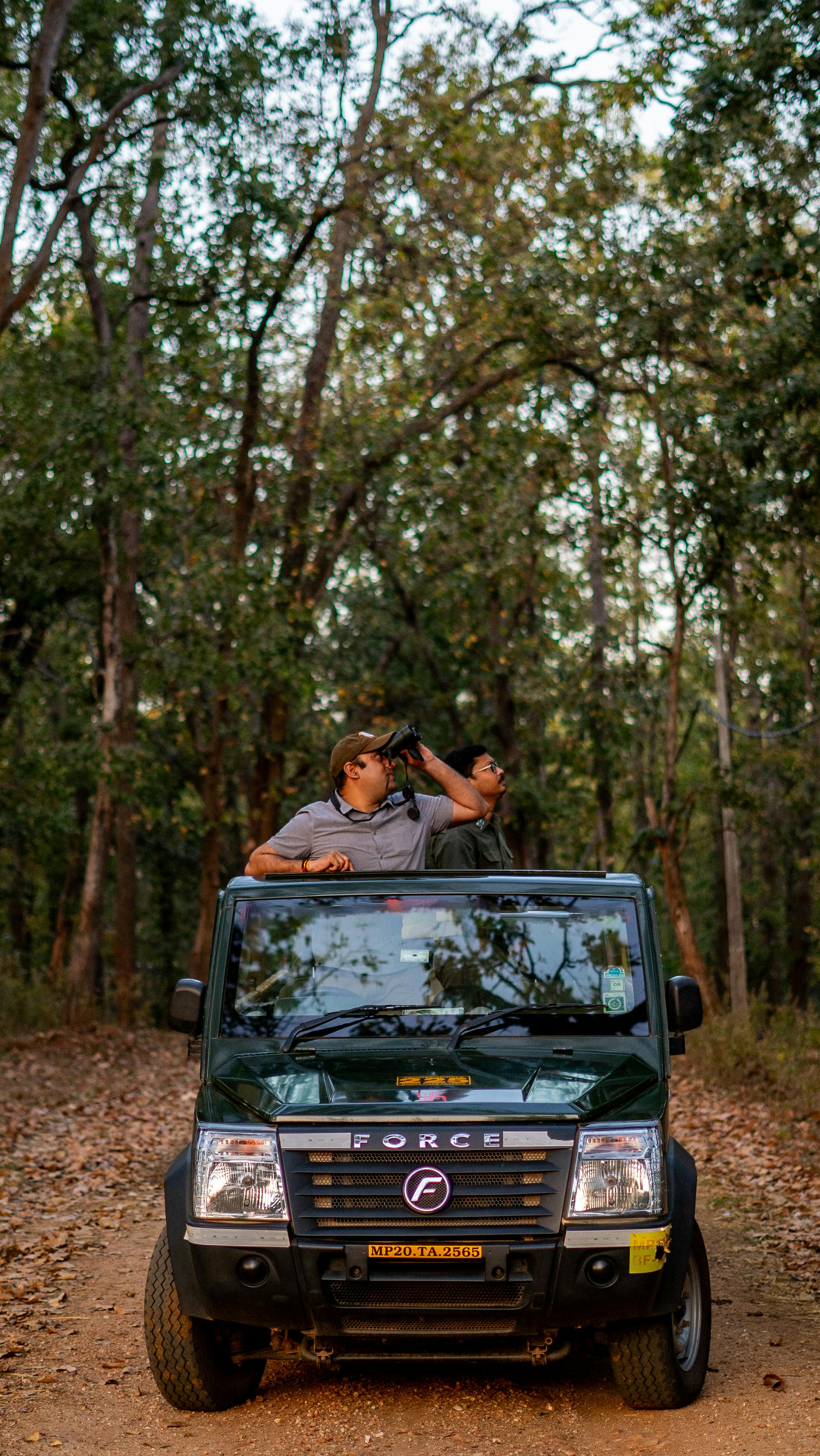 4-Day Private Jaipur & Ranthambore Wildlife Tour