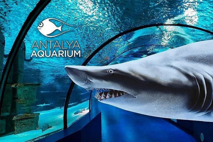 Private Antalya Aquarium Tour from Alanya | All Inclusive