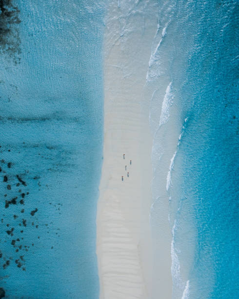 Safari Blue Zanzibar Day Trips