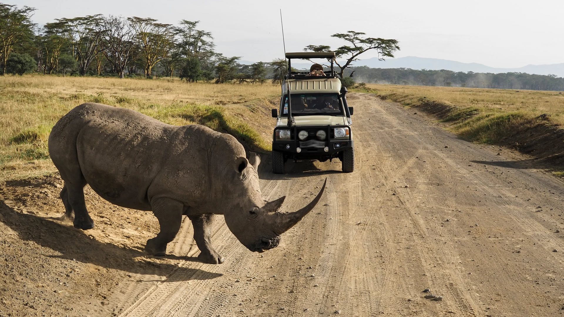 8 Days Highlights of Kenya Safari 8 Days Highlights of Kenya Safari