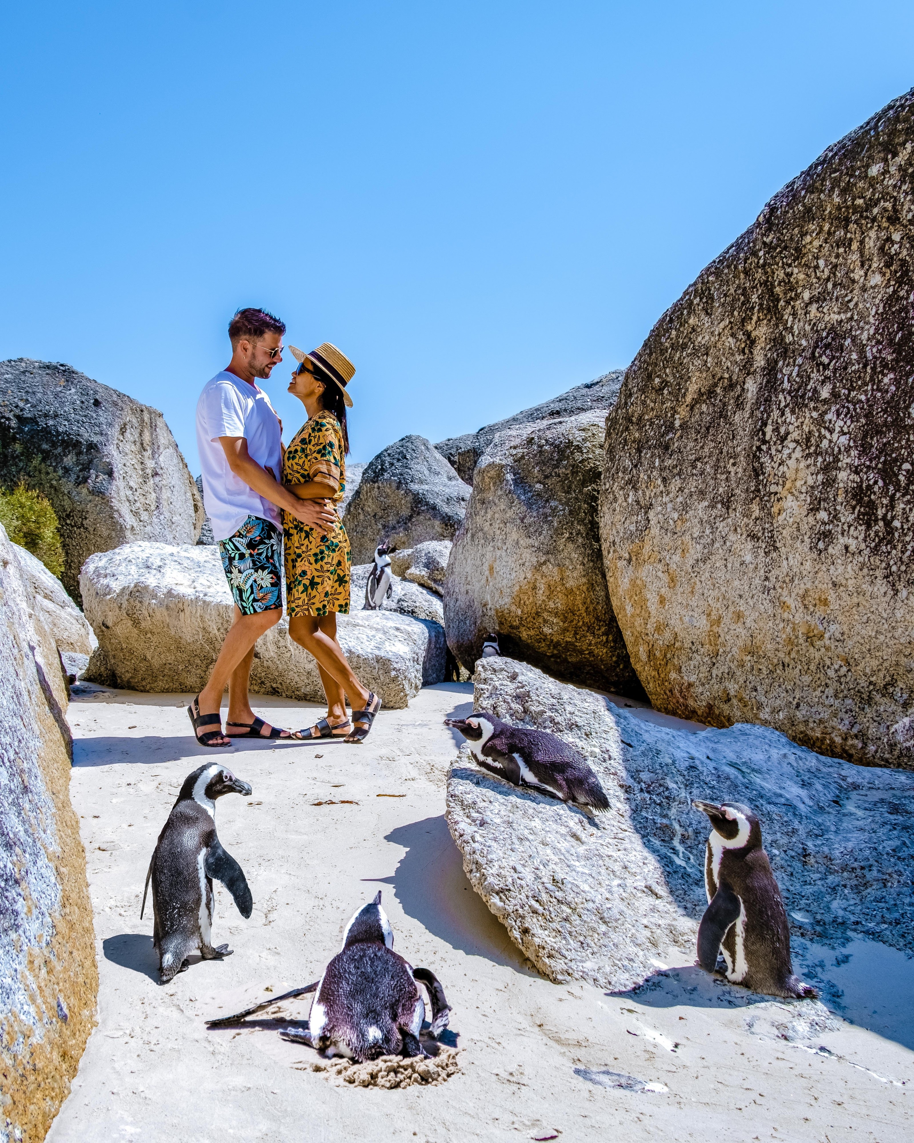 Cape Town & Surroundings: A September 2027 Experience Cape Town & Surroundings: A September 2027 Experience