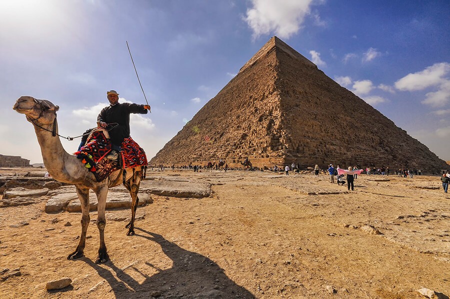 Day trip to Camel Market at Birqash in Giza , the Bedouin culture.