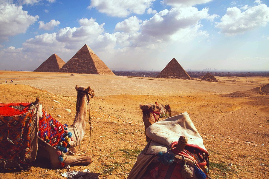 Cairo all Highlights Day Tour