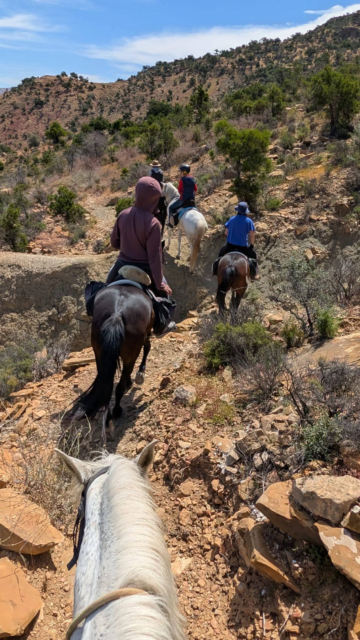 6-Day Beach, Dunes & Coastal Trail Horse Riding Holiday