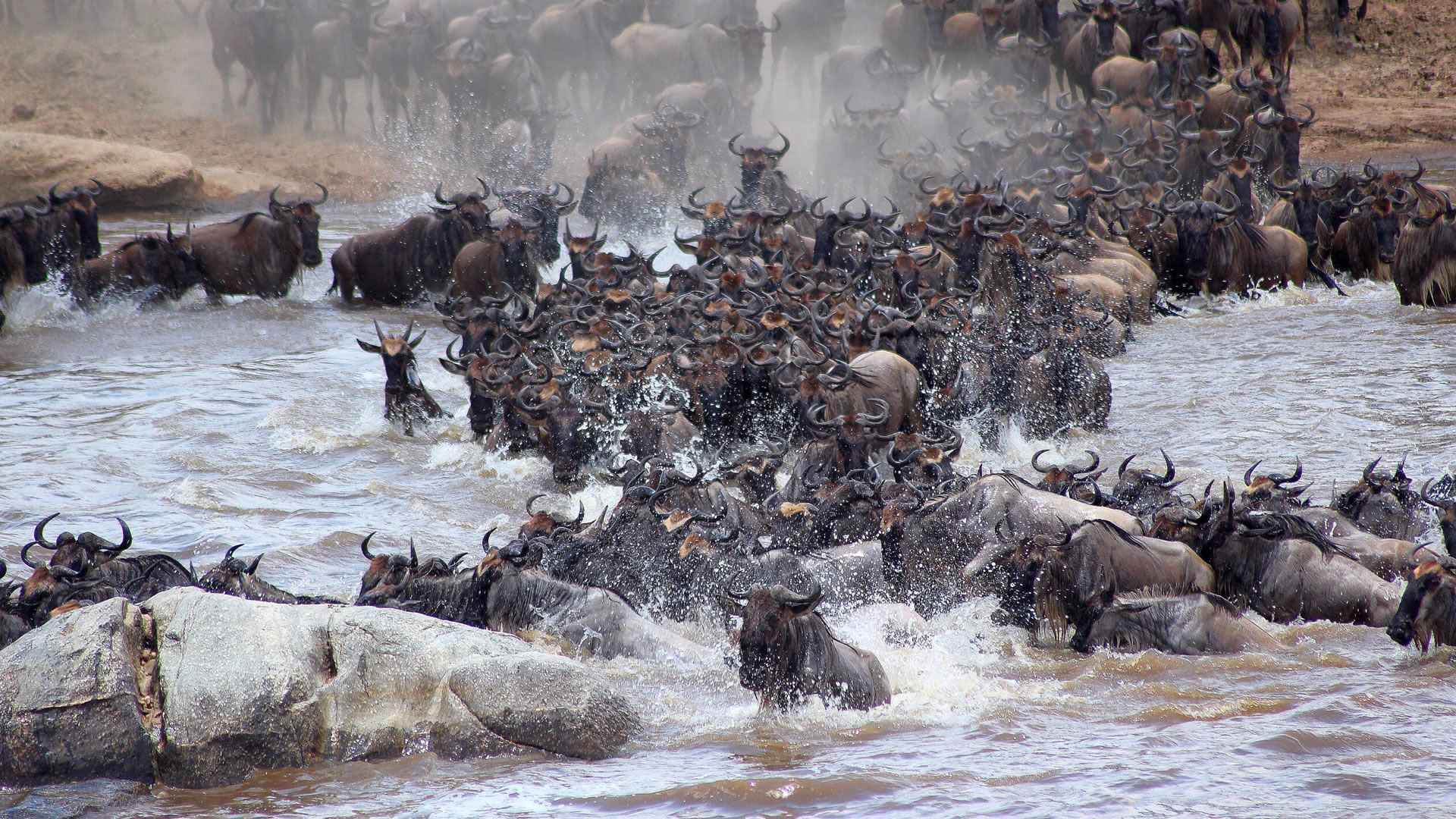 4 Days Wildebeest Migration Flying Kenya Safari 4 Days Wildebeest Migration Flying Kenya Safari