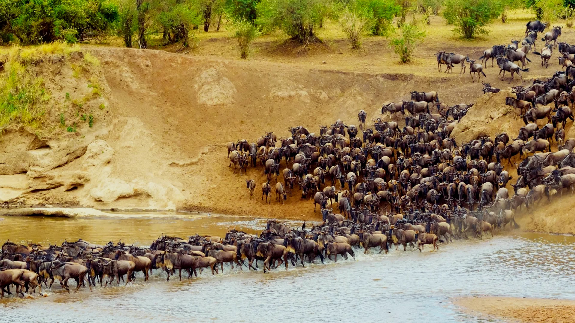 5 Days Wildebeest Migration Flying Safari