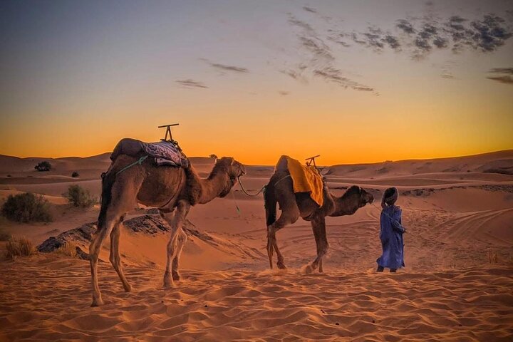 3-Days 2 Nights from Fes to Marrakech Private Luxury Desert trip