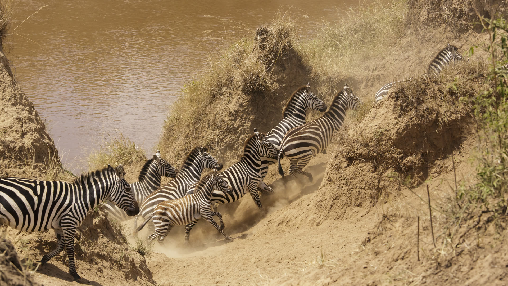 9 Days Exclusive Kenya Safari 9 Days Exclusive Kenya Safari