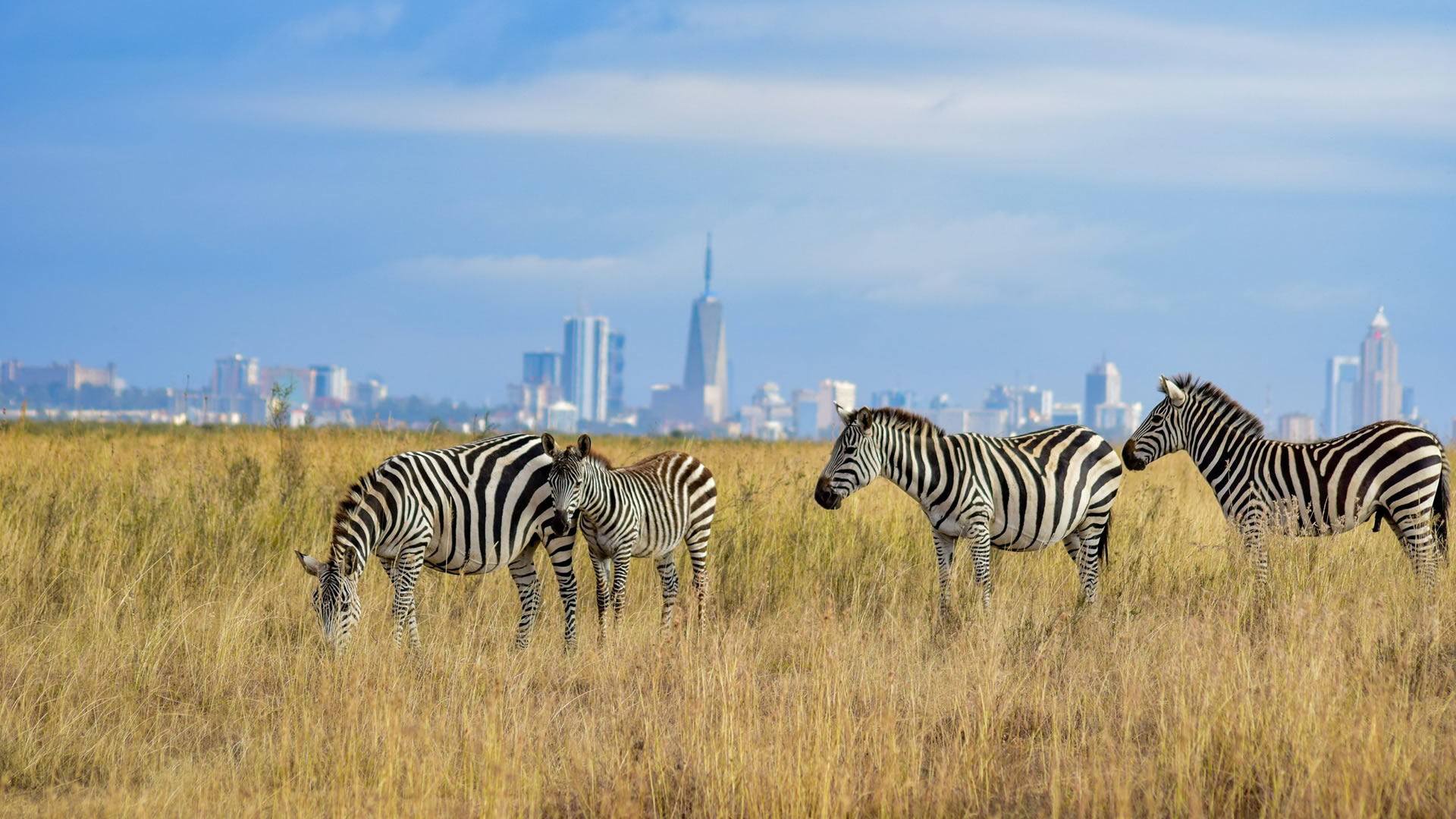 Nairobi Full Day Excursion