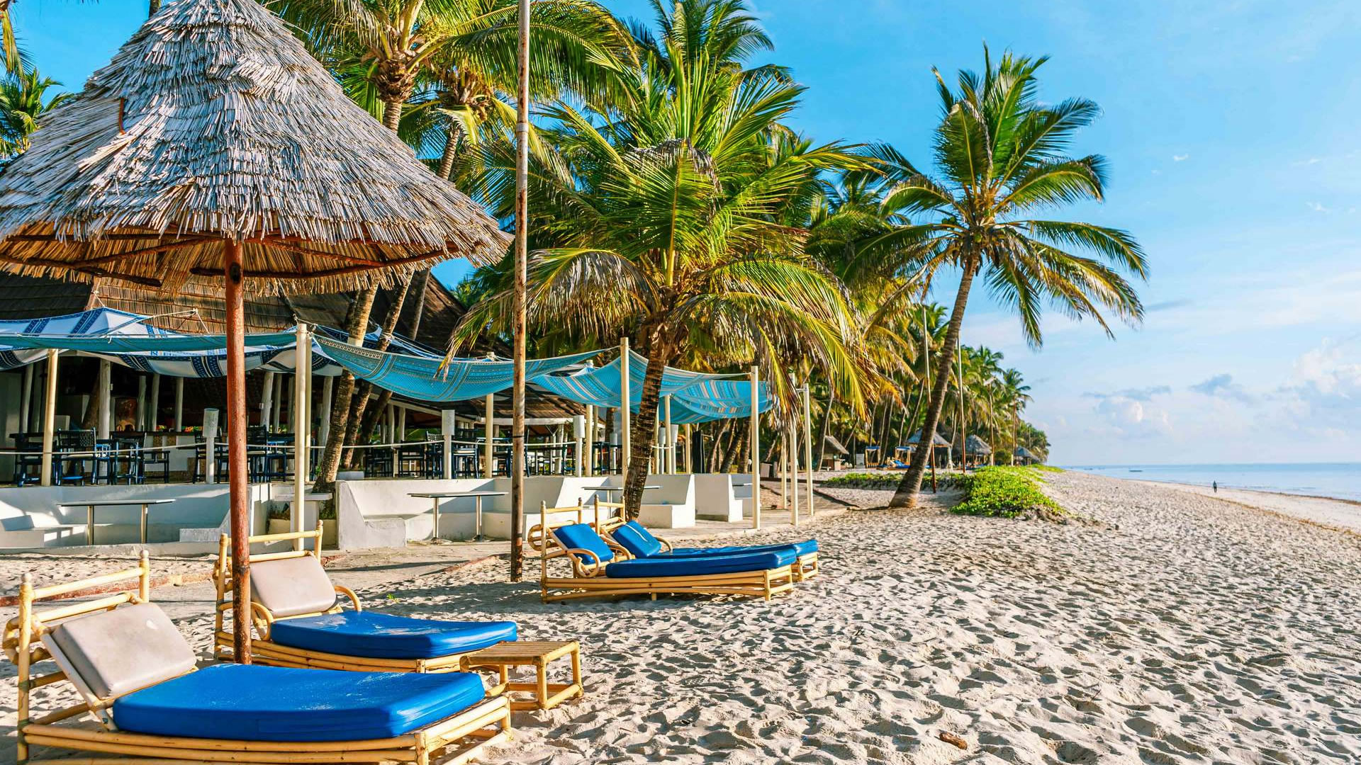 8 Days Bush and Beach Experience