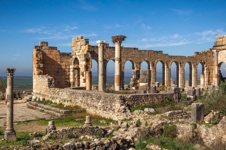 Fes to Volubilis, Moulay Idriss and Meknes Private Day Trip Fes to Volubilis, Moulay Idriss and Meknes Private Day Trip