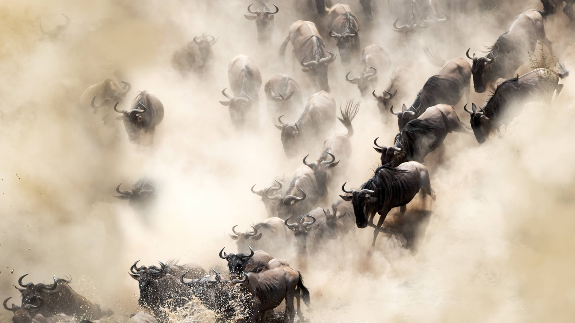 6 Days Wildebeest Migration Kenya Safari 6 Days Wildebeest Migration Kenya Safari