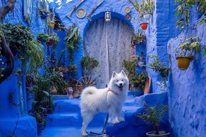 FES TO Chefchaouen Day Trip- luxury Private Tour
