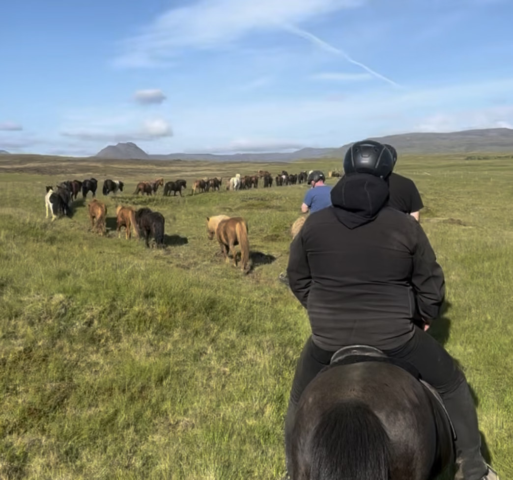 Private Golden Circle Tour and Horseback Riding from Reykjavík